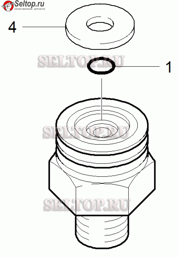 Резьбовая пробка (4.411-008.0)