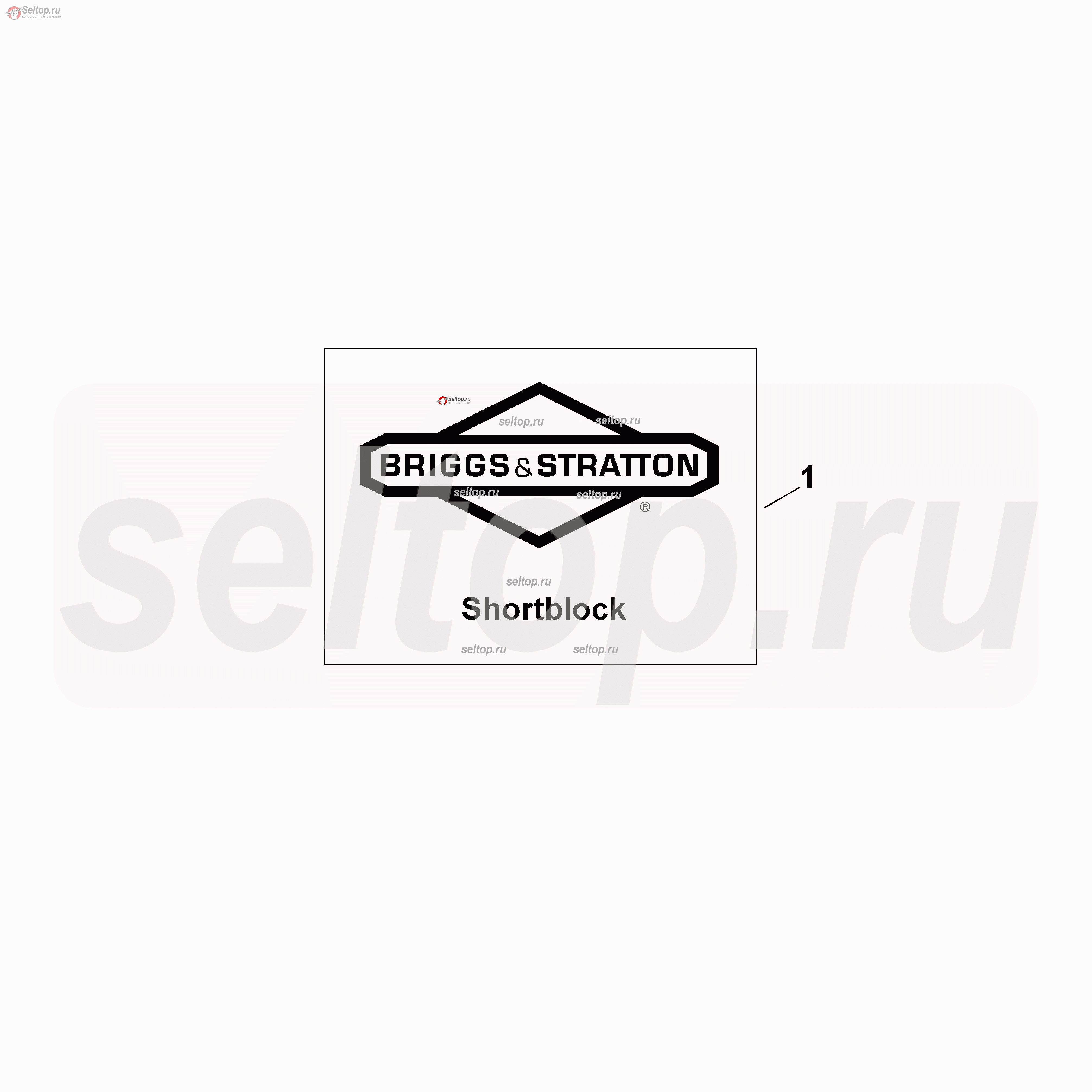 Наклейка Briggs Stratton 12H807-1805-B1