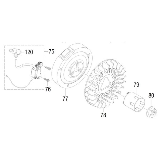 Магнето и маховик для Чемпион PC1645RH