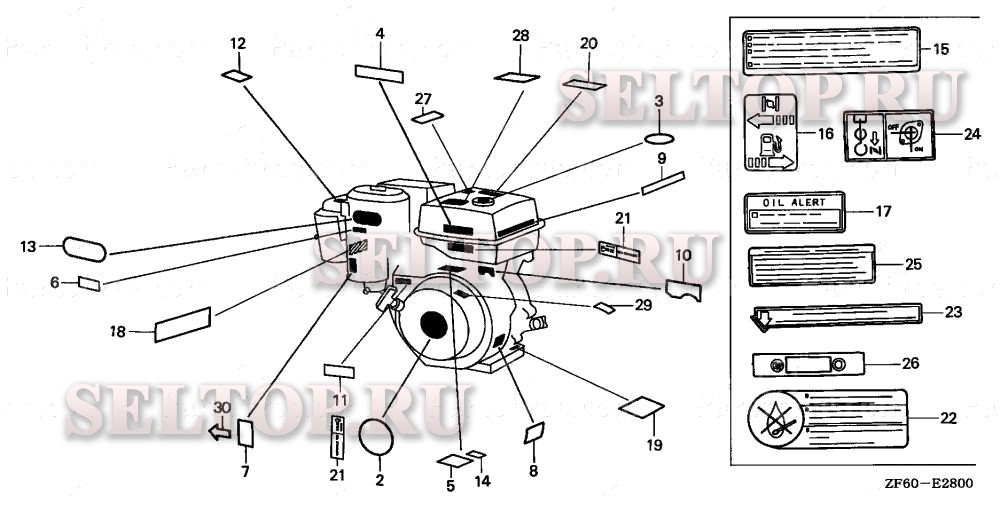 Этикетка (1) для Honda GX390K1 QKE2
