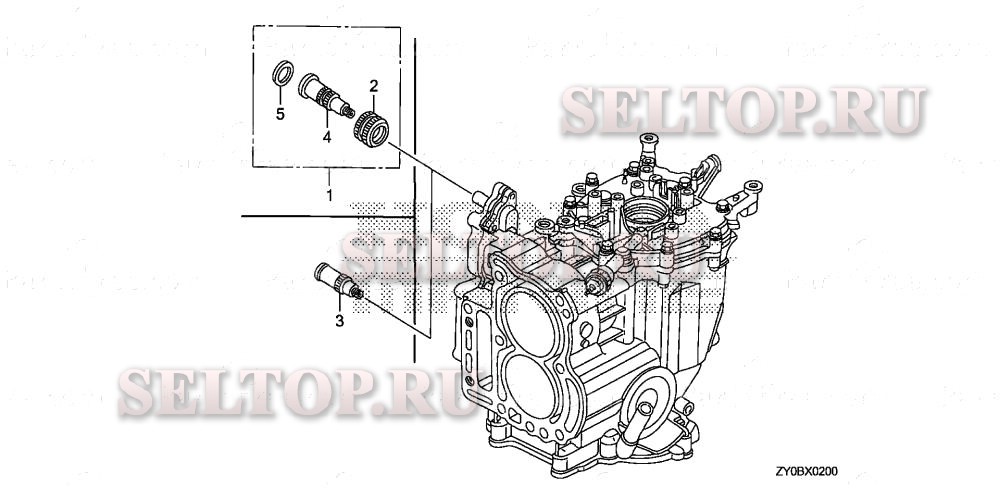 Патрубок шланга для Honda BF20DK2 LRTA