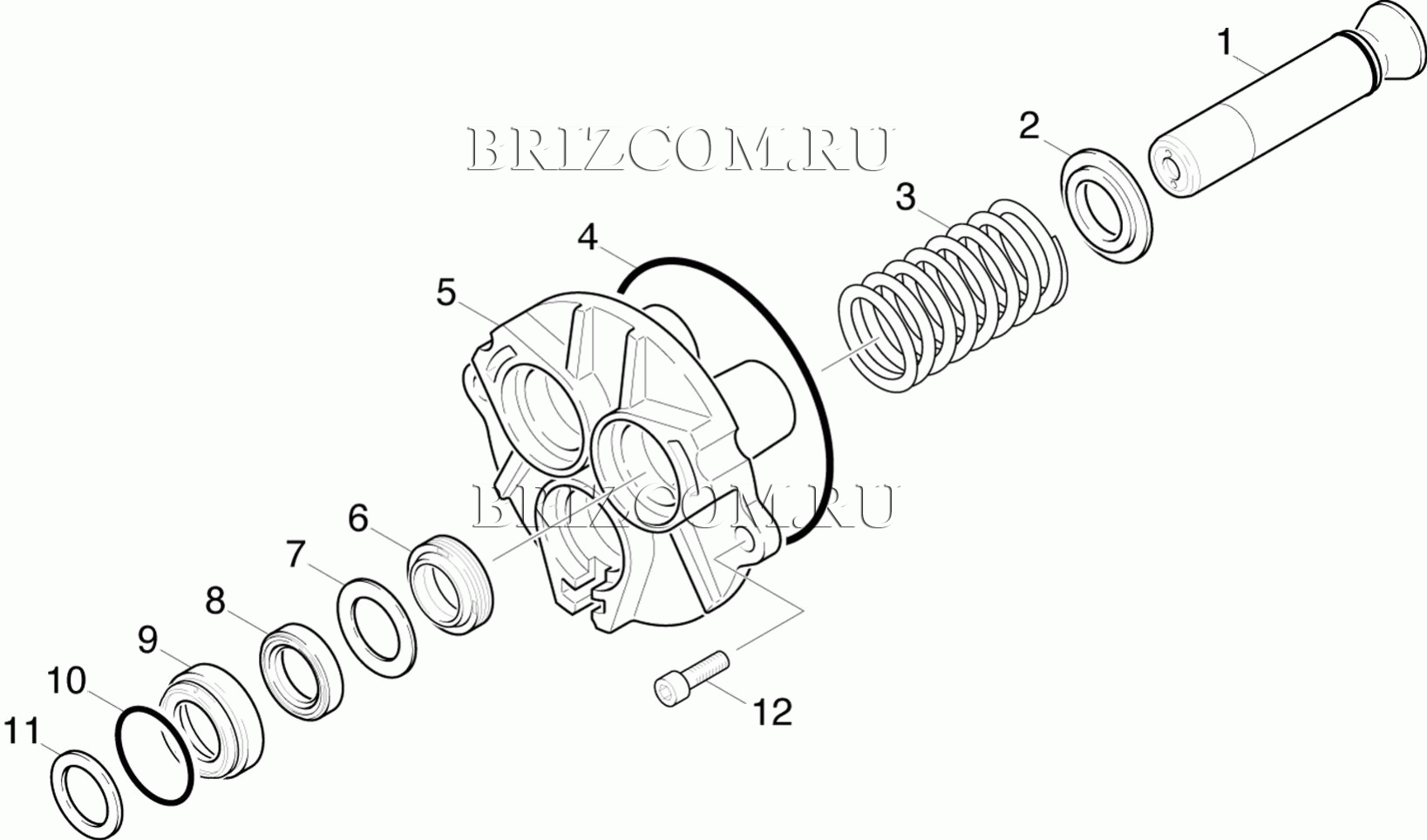 Поршень (0.171-825.0)